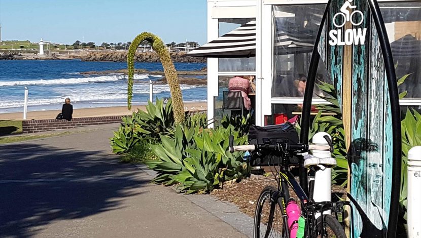 cycle0224-std-69062f63-2646-4077-8042-938955c715fa