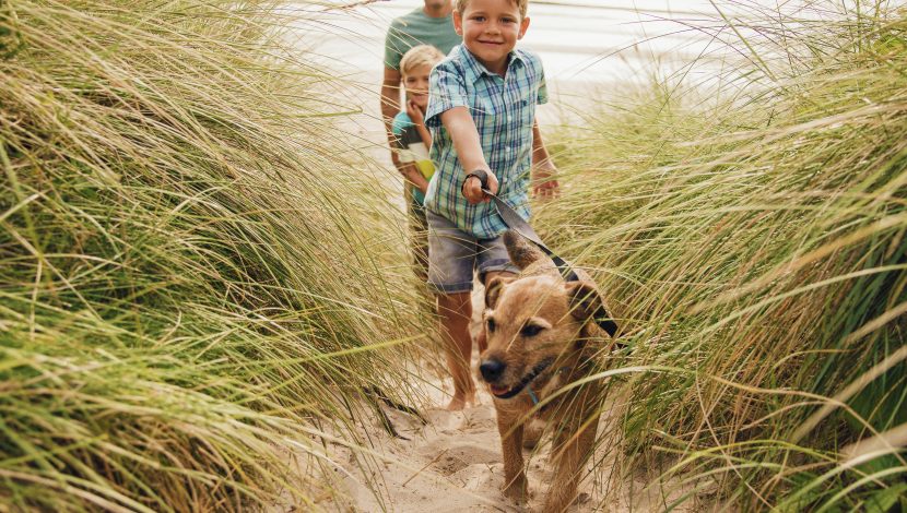 Low angle view of a little boy and his family walking the dog through the sand dunes.